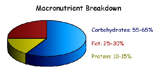  Bodybuilding macronutrients 