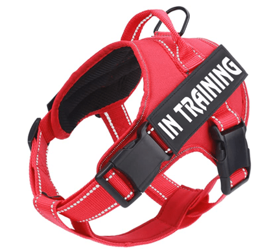 No Pull Dog Harness with Reflective Straps