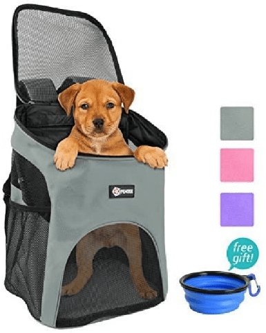 Pawsee Pet Carrier