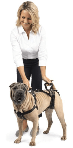 PetSafe CareLift Support Harness