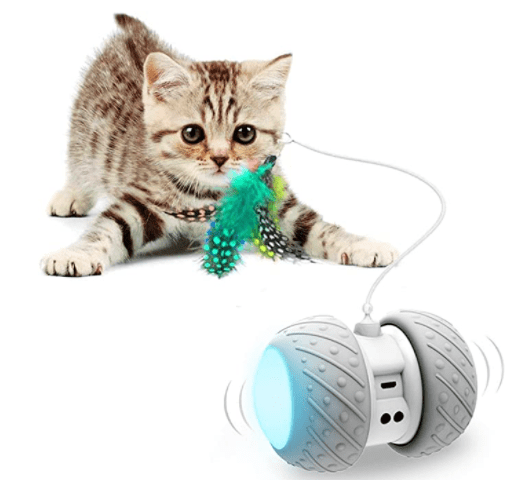 Interactive Robotic Cat Toys
