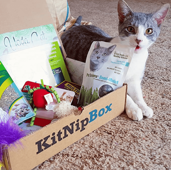 KitNipBox Cat Toys