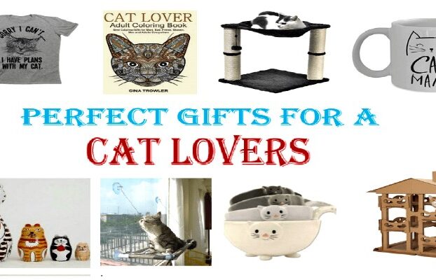 gifts for a cat lover